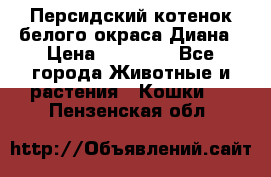 Персидский котенок белого окраса Диана › Цена ­ 40 000 - Все города Животные и растения » Кошки   . Пензенская обл.